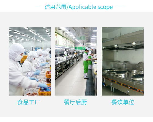 清潔的匠心 食品廠毛刷中的美學智慧