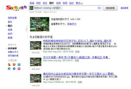 凈化網絡環境，識圖技術助力正能量傳播獲網友好評